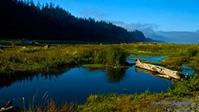 Umpqua Investment Locations